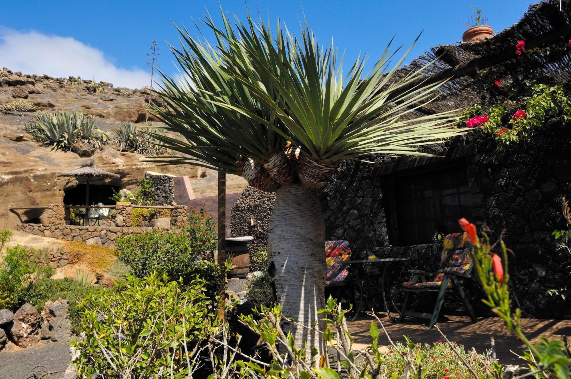 Castillo Lanzarote Bentley - Luxury -sleep In A Volcanic Cave Appartement